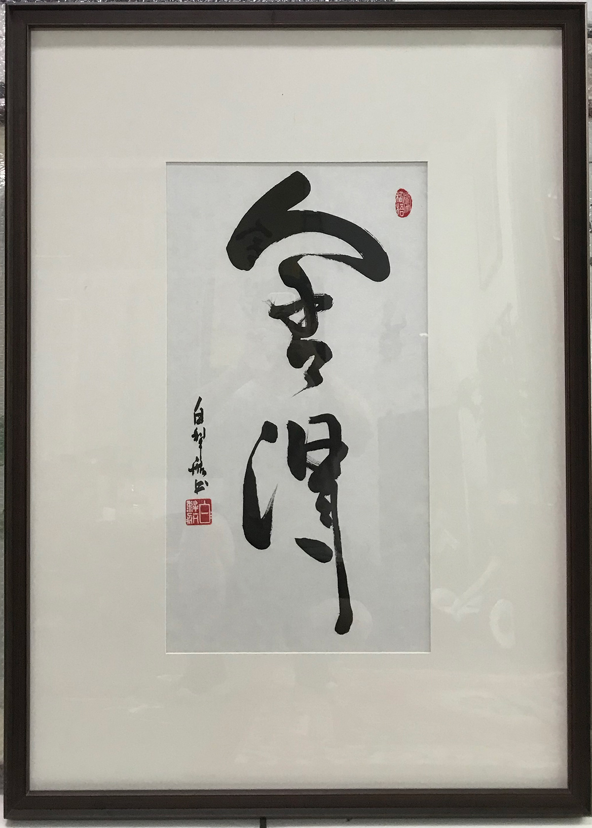 白犁航-舍得1.jpg